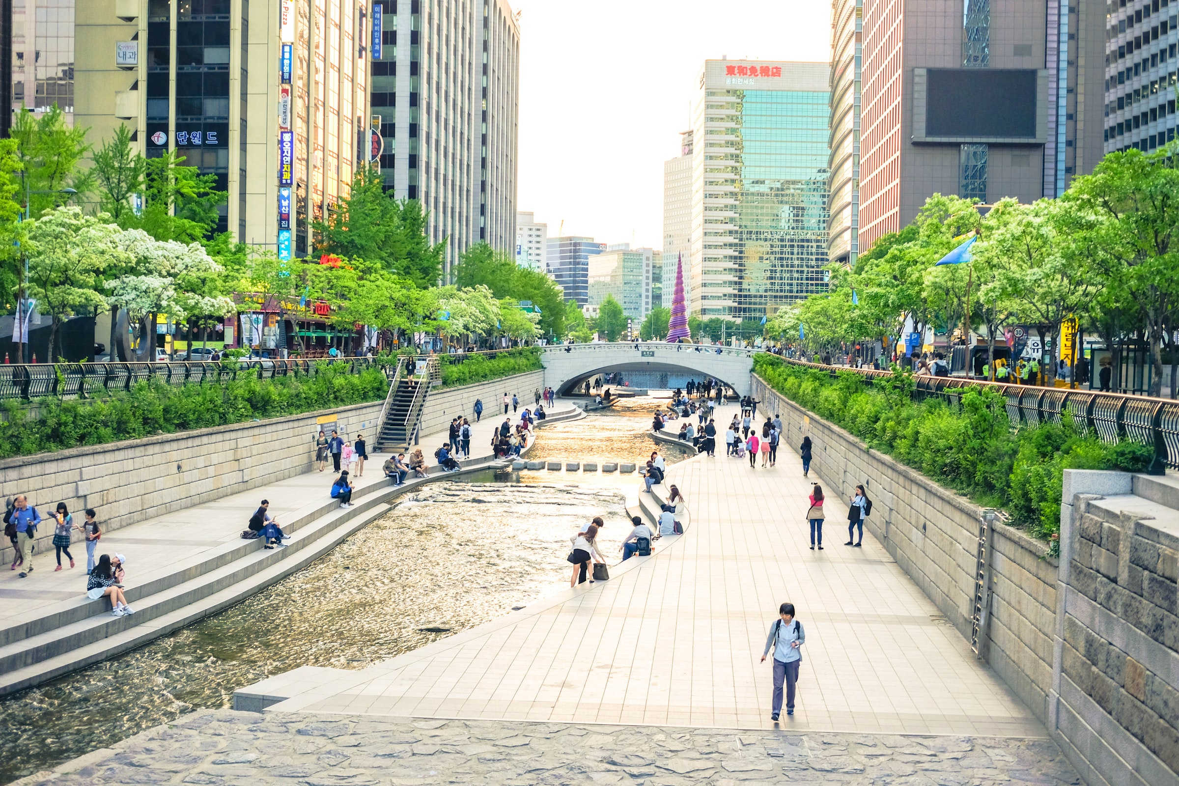 Growing Green South Korea S Approach To The Covid 19 Economic Recovery Growing Green South Korea S Approach To The Covid 19 Economic Recovery