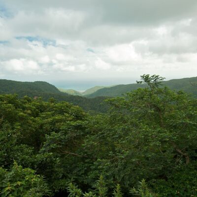 A view over Taiwan’s central mountain range with thick forest.