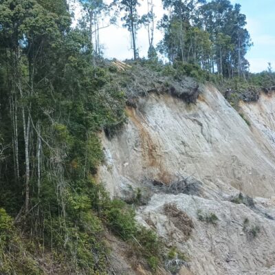 Forest degradation by a roadside in Pollung, Humbang Hasundutan District, North Sumatera, 24 January 2025.